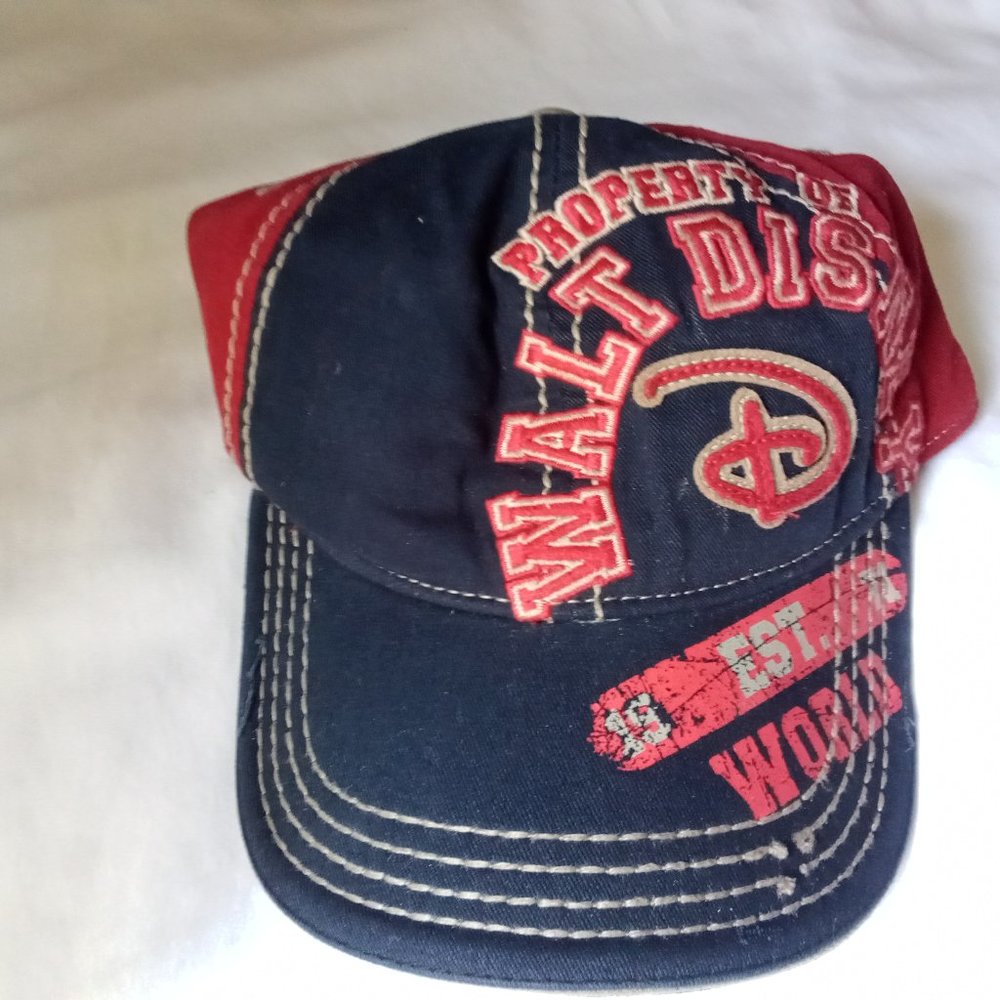 NWT Disney World hat